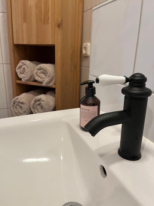 Apartment "Nachtweide" In Μαγδεβούργο Εξωτερικό φωτογραφία